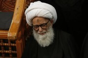 تعزية المرجع النجفي برحيل الشيخ حسن طراد العاملي