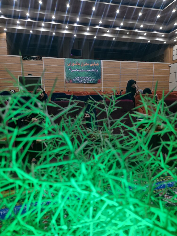 برگزاری همایش دختران عاشورایی در گناوه