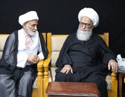 Pakistan's Shia Ulema Council VP meets with Senior Cleric in Iraq