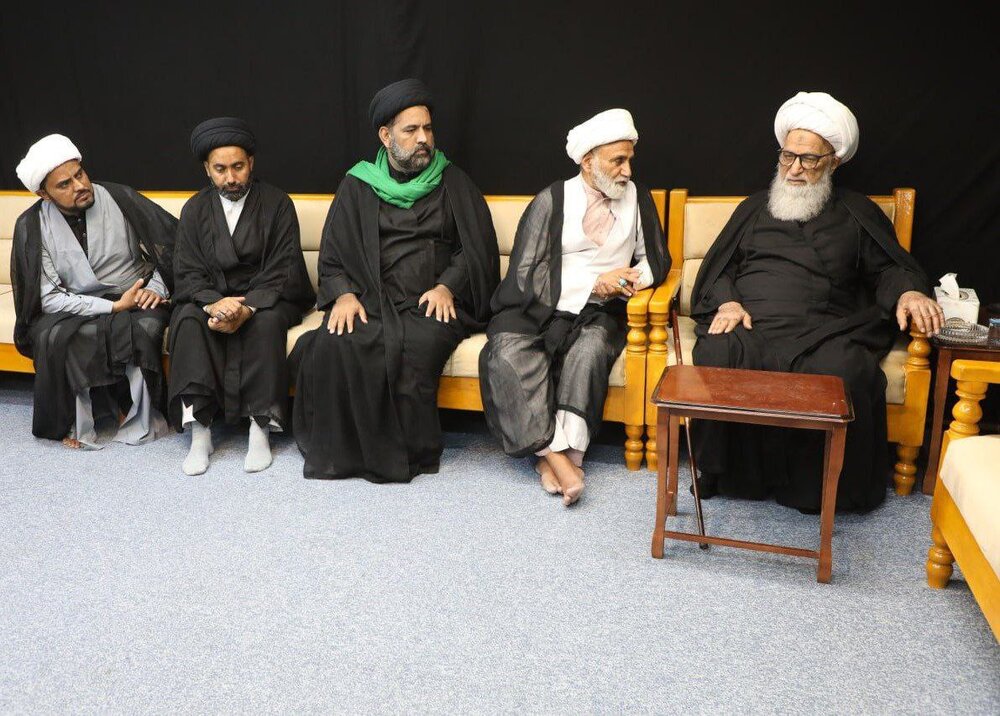 دیدار نائب رئیس مرکزی شورای علمای شیعه پاکستان با آیت الله العظمی حافظ بشیر حسین نجفی + تصاویر