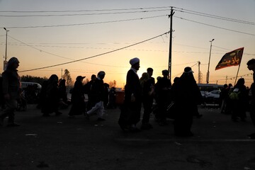 اربعین حسینی؛ ستون هویت شیعه، نماد وحدت امت اسلامی و گنجینه‌ای از اسرار آسمانی