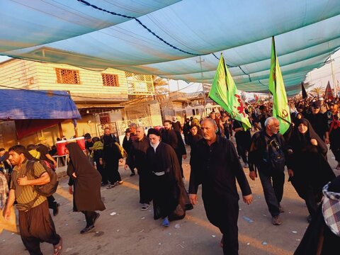 امام جمعة النجف الاشرف يشارك الجموع المليونية في المسير الى كربلاء