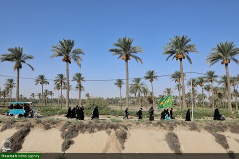 photos/Arbaeen marche de Najaf à Karbala