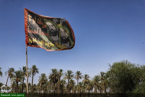 photos/Arbaeen marche de Najaf à Karbala