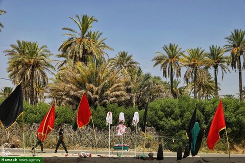 photos/Arbaeen marche de Najaf à Karbala