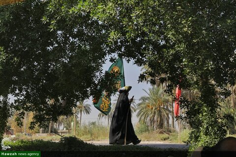 photos/Arbaeen marche de Najaf à Karbala