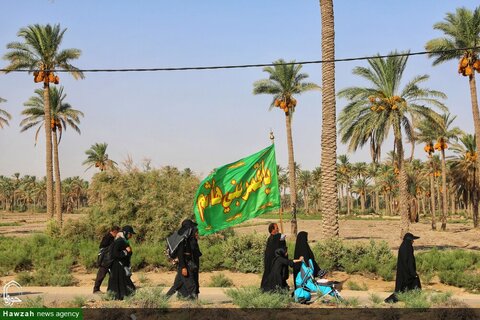 photos/Arbaeen marche de Najaf à Karbala