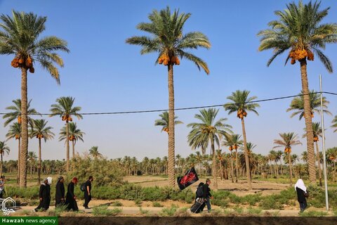 photos/Arbaeen marche de Najaf à Karbala