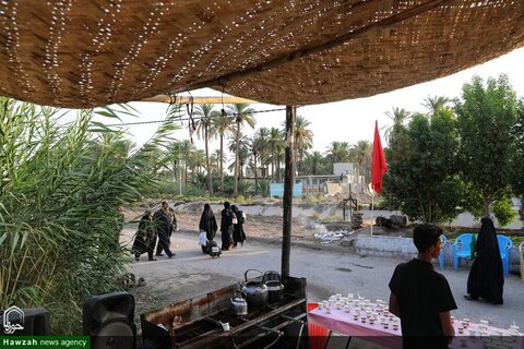 photos/Arbaeen marche de Najaf à Karbala