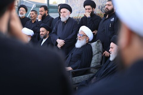 Photos/ La présence du Grand Ayatollah Bashir Najafi à la procession d'Arbaeen