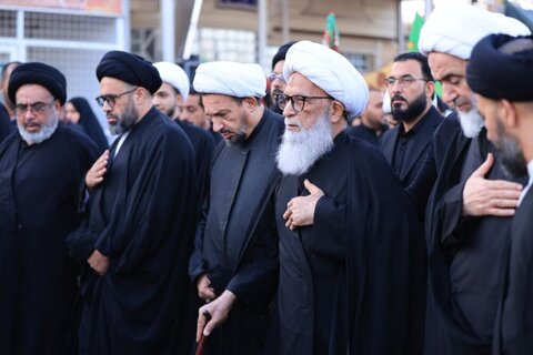 Photos/ La présence du Grand Ayatollah Bashir Najafi à la procession d'Arbaeen