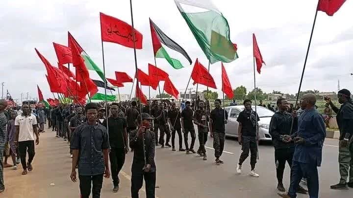 نیجریه رنگ و بوی اربعین گرفت+ تصاویر