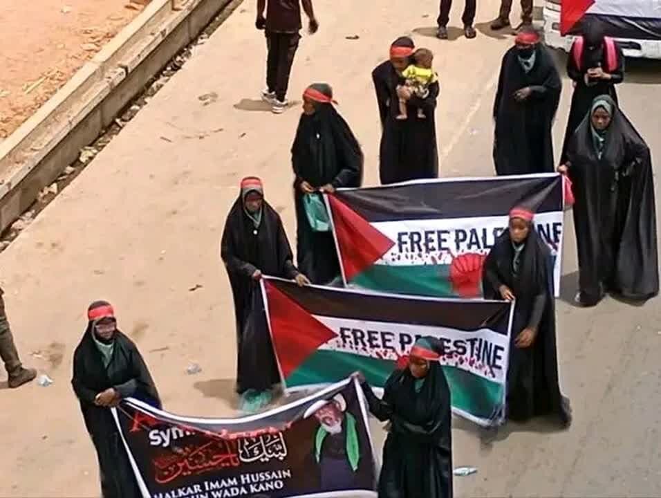 نیجریه رنگ و بوی اربعین گرفت+ تصاویر