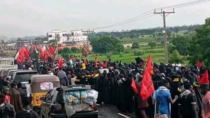 نیجریه رنگ و بوی اربعین گرفت+ تصاویر