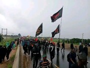 Nigerians attend Arbaeen Walk