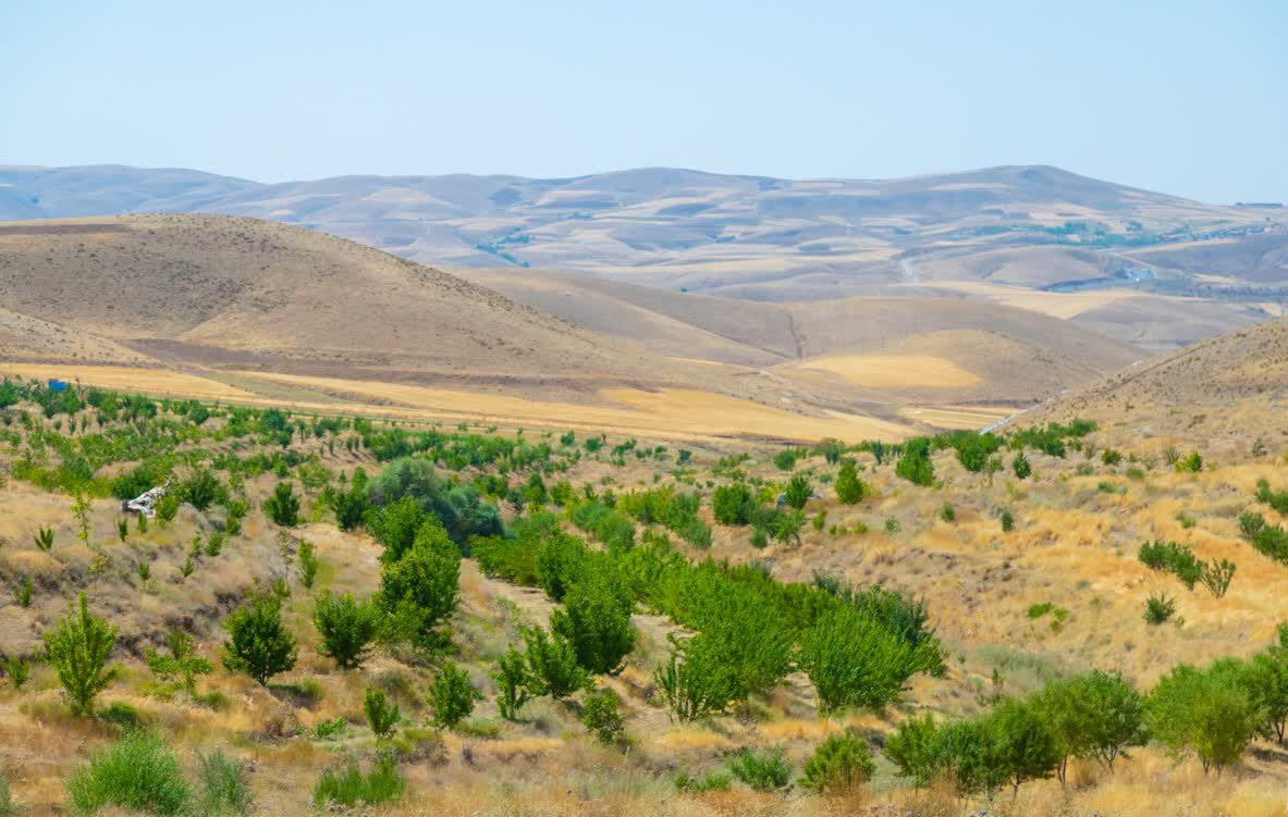 تصاویر/ بهره‌برداری از ۸ طرح آبخیزداری و جنگل‌کاری در استان مرکزی‌