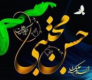 इमाम हसन अ.स. के दान देने और क्षमा करने का वाक़्या