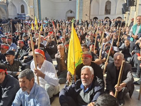 تصاویر/ برگزاری مراسم سنتی مذهبی قالیشویان فین کاشان در مشهد اردهال