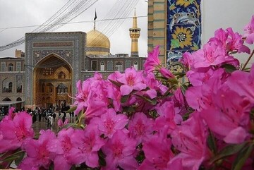 ویژه برنامه‌های حرم رضوی برای میلاد امام حسن عسکری(ع)