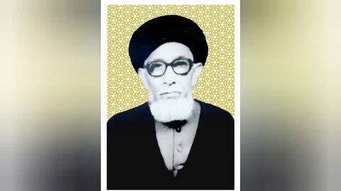 سيد رضى رضوی چهولسی