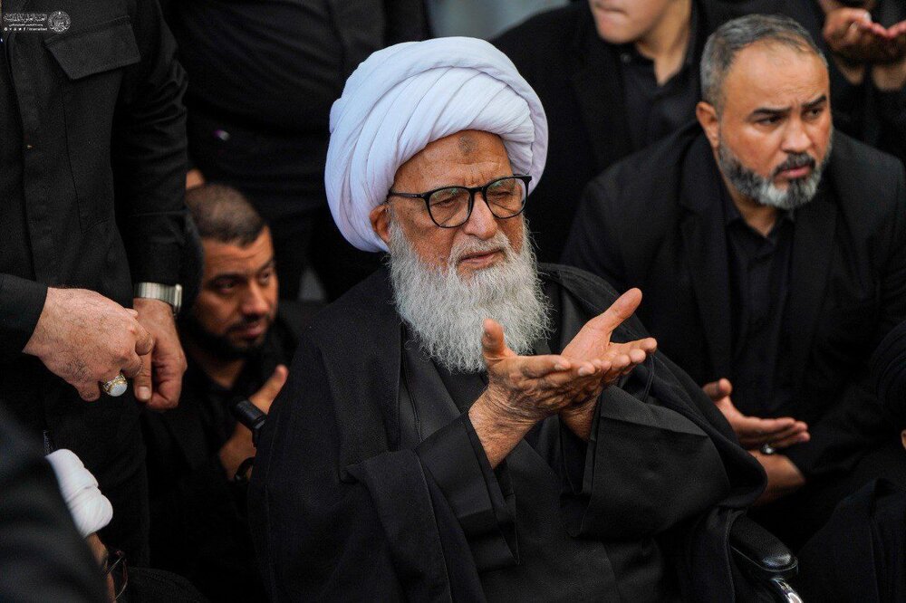 आयतुल्लाहिल उज़्मा हाफ़िज़ बशीर हुसैन नजफ़ी के नेतृत्व में नजफ अशरफ में अय्यामे फ़ातिमया के जुलूस का आयोजन