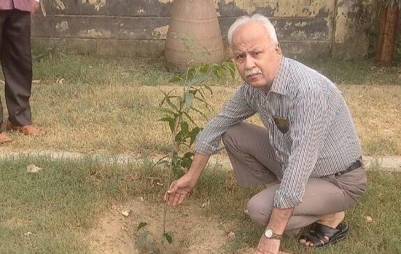 شجر کاری کی اہمیت اور ذمہ داری پر غور و فکر کی ضرورت ہے، پروفیسر ریاض محمود