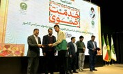 خادمیار دشتستانی رتبه نخست جشنواره خدمت رضوی را کسب کرد