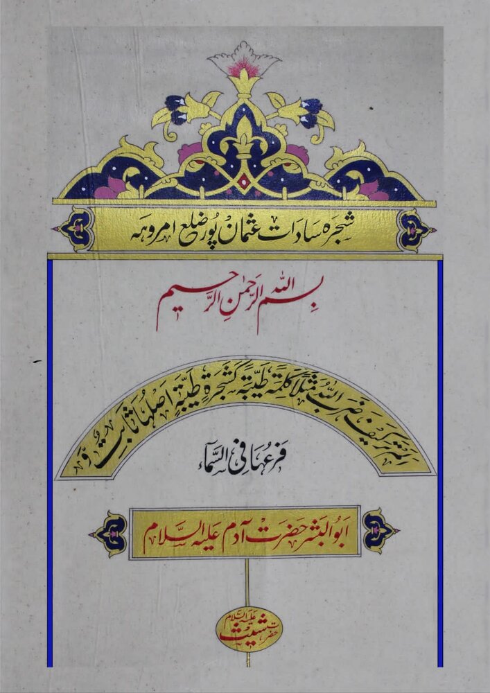 سادات عثمان پور، امروہہ کا بیش بہا سرمایہ+شجرہ نامہ