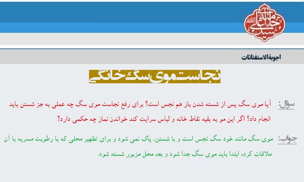 पालतू कुत्ते के बाल की निजासत