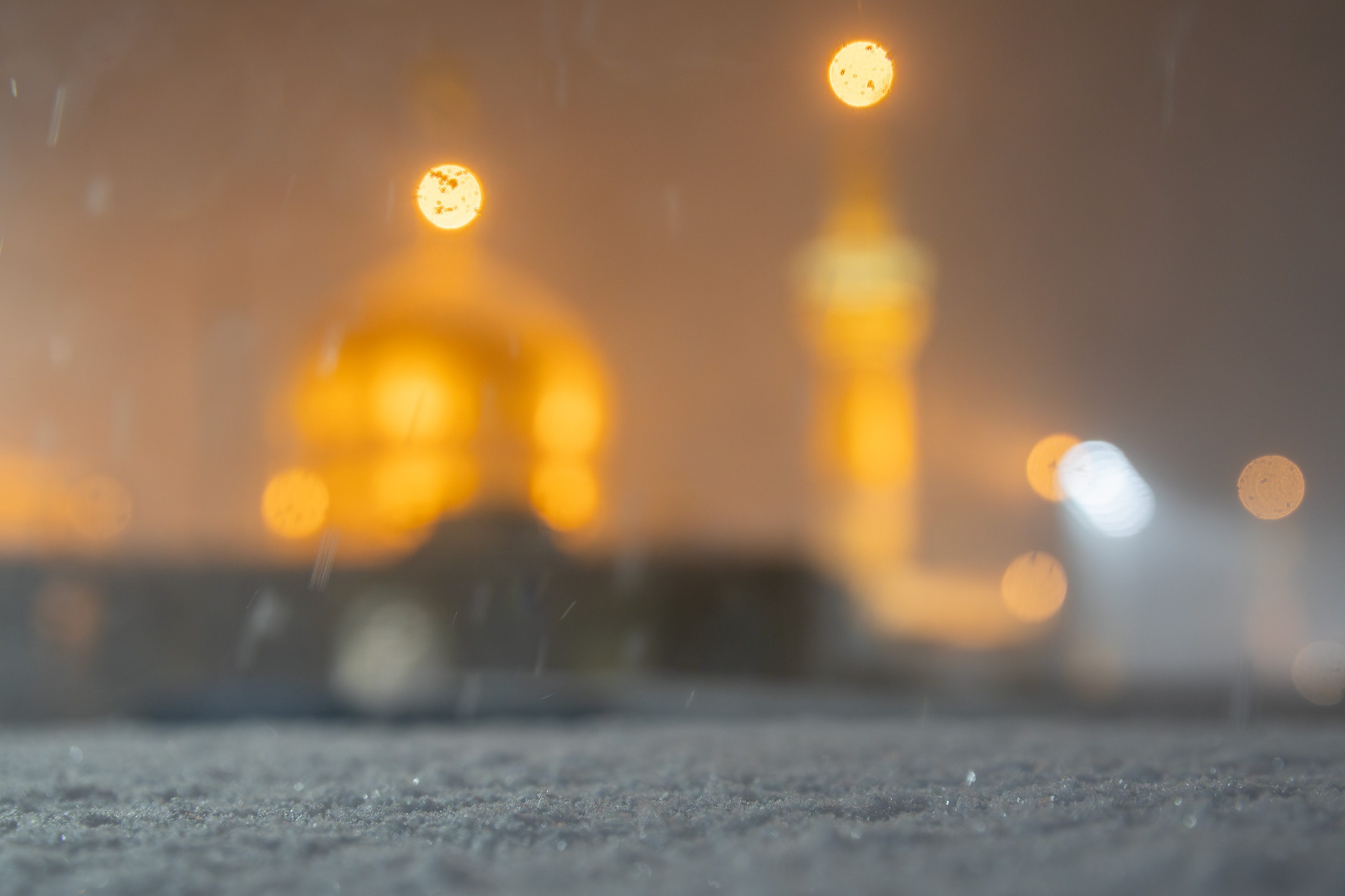 Photos: Snow Blankets Imam Reza Shrine