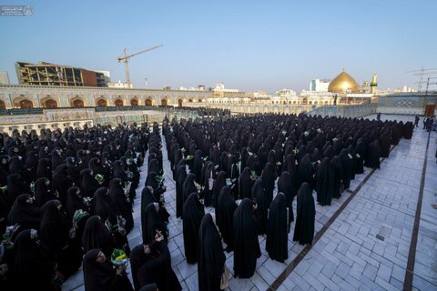 أكثر من 2000 طالبة جامعية يُكَرّمن بالعباءة الفاطمية في العتبة العلوية