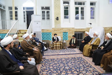 تصاویر/ دیدار اعضای شورای کنگره بین‌المللی آیت الله میرزای نائینی(ره) با آیت الله العظمی شبیری زنجانی