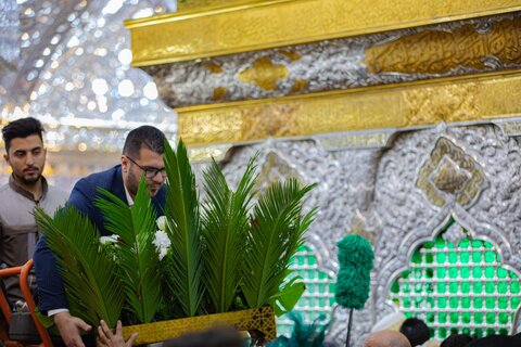 تزيين ضريح الإمام الحسين (ع) بأكاليل الورد بمناسبة ولادة الإمامين الباقر والهادي (ع)