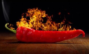 درس اخلاق | پشت پرده عوامل غیبت در جامعه امروزی