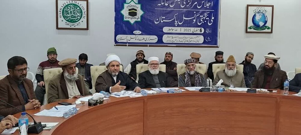 National Council of Pakistan Slams Silence of Int’l Community Against Israel Atrocities