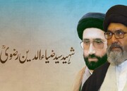 گلگت بلتستان کے عوام کے معاشرتی، تعلیمی اور سیاسی حقوق کیلئے شہید سید ضیاء الدین رضوی کی جدوجہد مشعل راہ ہے