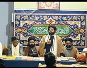 हज़रत अली (अ) ने अपने शासनकाल में मानवाधिकारों की रक्षा कर इंसानी मूल्यों को ऊंचा कियाः डॉ. शहवार हुसैन नक़वी