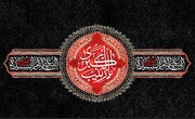 عقیلہ بنی ہاشم حضرت زینب سلام اللہ علیہا (پانچ روایات)