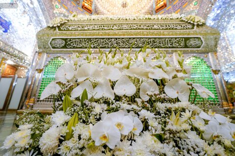 گلآرایی ضریح امیرمؤمنان (ع) در استقبال از شب مبعث