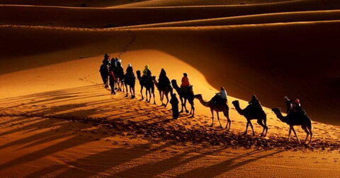 چرا امام حسین علیه‌السلام زنان و کودکان را همراه خود به کربلا آوردند؟
