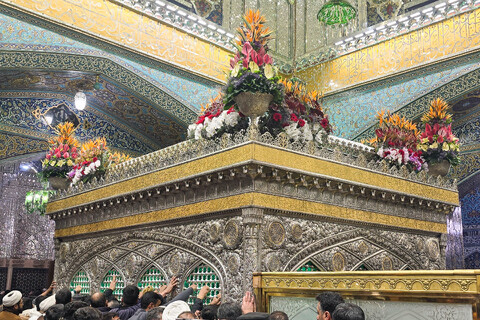 تصاویر/ گل‌آرایی ضریح مطهر رضوی به مناسبت اعیاد شعبانیه
