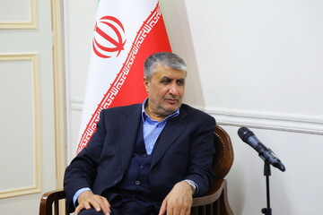 رئیس سازمان انرژی اتمی به بوشهر سفر کرد