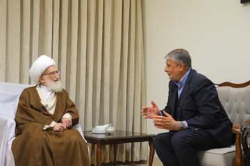 تصاویر / دیدار رییس سازمان انرژی اتمی کشور با آیت الله العظمی نوری همدانی