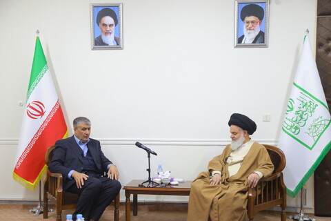 تصاویر / دیدار رییس سازمان انرژی اتمی کشور با آیت الله حسینی بوشهری