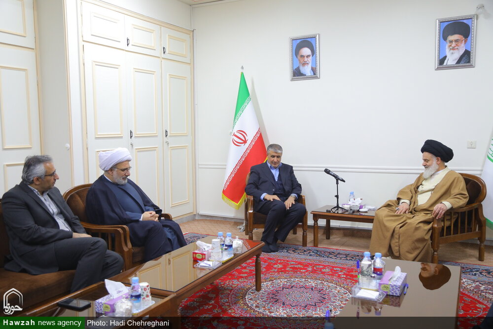 تصاویر/ دیدار رییس سازمان انرژی اتمی کشور با آیت الله حسینی بوشهری