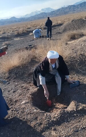 تصاویر/ مشارکت طلاب و روحانیون حوزه علمیه کاشان در برنامه درختکاری