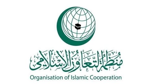 مصر میں عنقریب فلسطین کی حمایت میں او آئی سی وزرائے خارجہ کا ہنگامی اجلاس