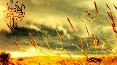 اعتراف اهل سنت به ولادت امام مهدی (عج) به عنوان پسر امام حسن عسکری(ع)