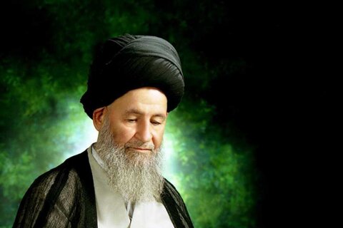 ویڈیو/ مختصر ڈاکیومنٹری؛ آیت اللہ العظمی سید محمد علی علوی گرگانی