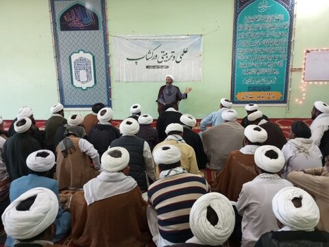 پنجاب میں مجلسِ علماء امامیہ پاکستان کے زیرِ اہتمام علمی و تربیتی ورکشاپ کا انعقاد